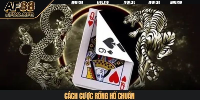 Cách cược rồng hổ chuẩn