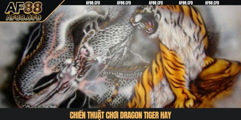Chiến thuật chơi dragon tiger hay