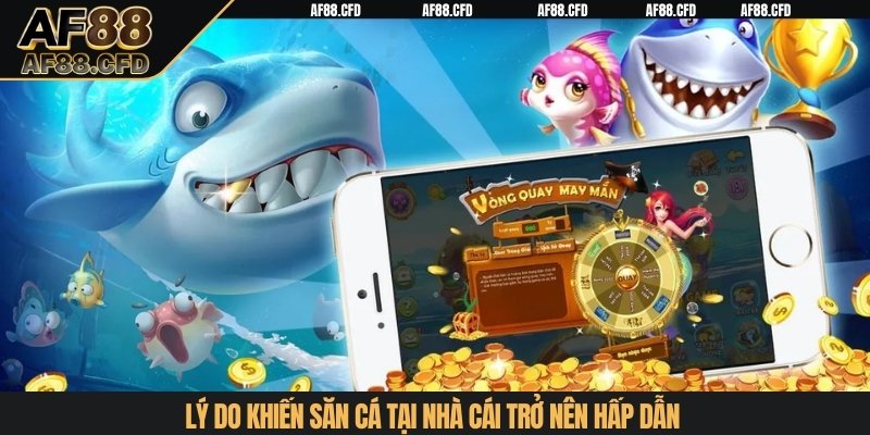 Lý do khiến săn cá tại nhà cái trở nên hấp dẫn