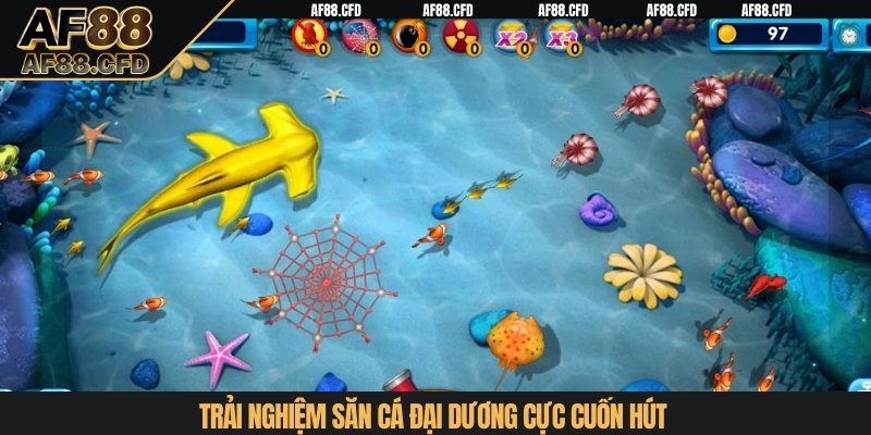 Trải nghiệm săn cá đại dương cực cuốn hút