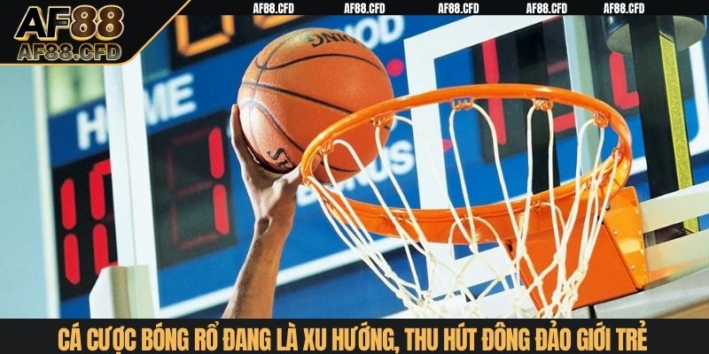 Cá cược bóng rổ đang là xu hướng, thu hút đông đảo giới trẻ