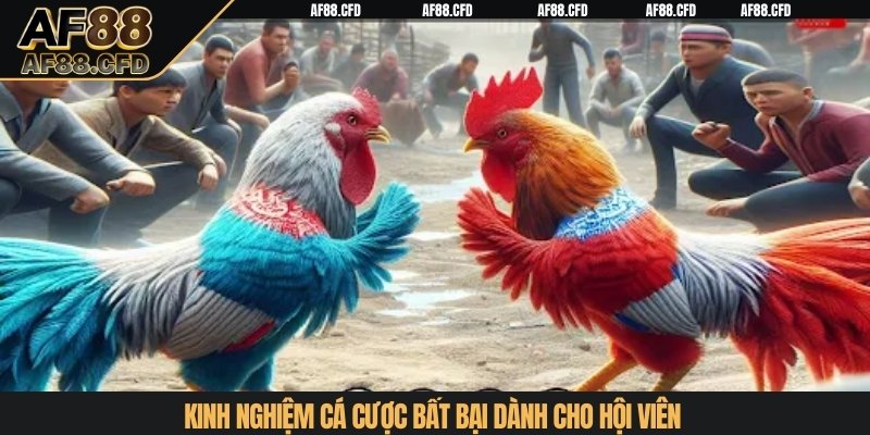 Kinh nghiệm cá cược bất bại dành cho hội viên