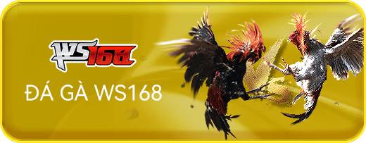 Đá gà ws168