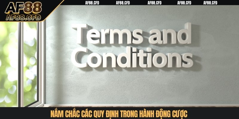 Nắm chắc các quy định trong hành động cược