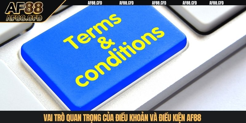 Vai trò quan trọng của điều khoản và điều kiện AF88