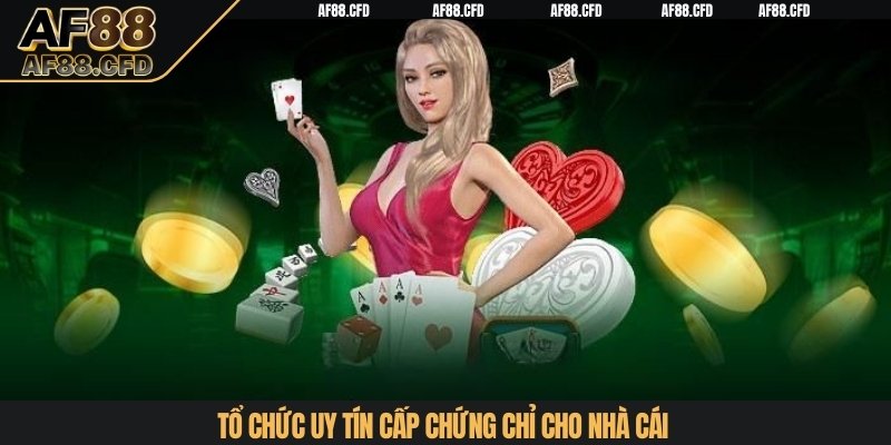 Tổ chức uy tín cấp chứng chỉ cho nhà cái