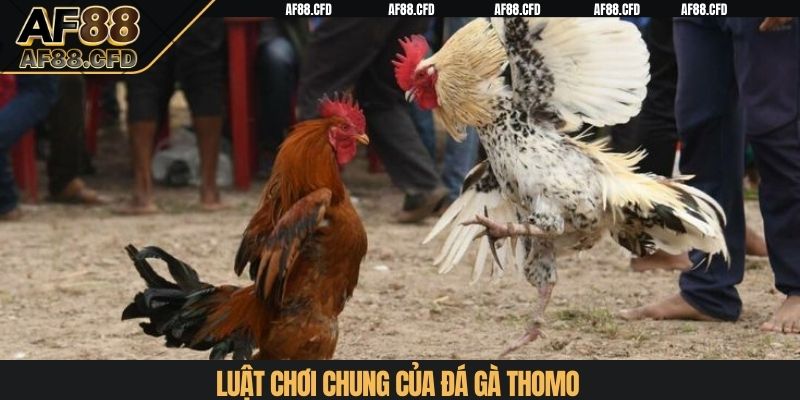 Luật chơi chung của đá gà Thomo